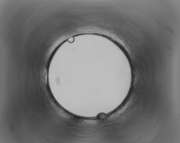 X0000111251509200907301316