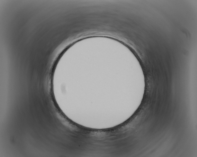 X0000111251511200907301316