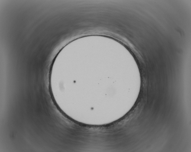 X0000111251512200907301316