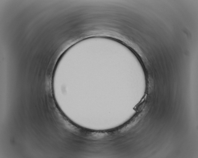 X0000111251513200907301316