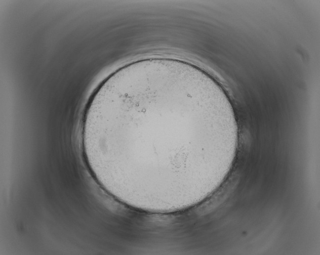 X0000111251514200907301316