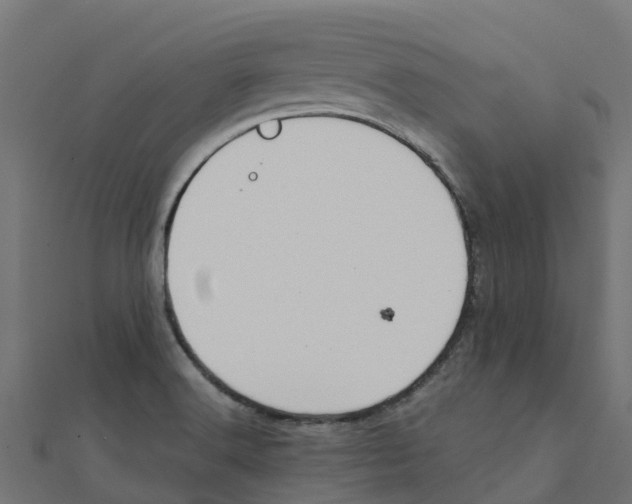 X0000111251516200907301316