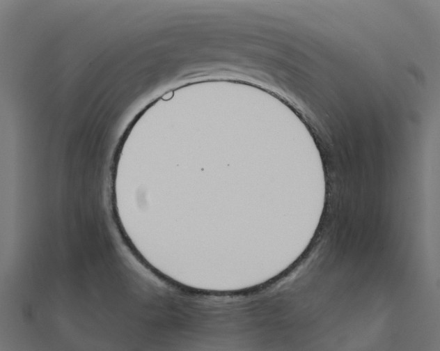 X0000111251518200907301316