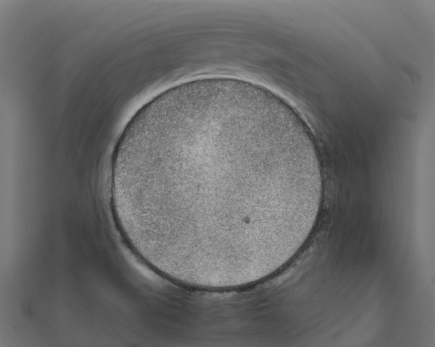 X0000111251519200907301316