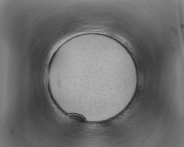 X0000111251520200907301316