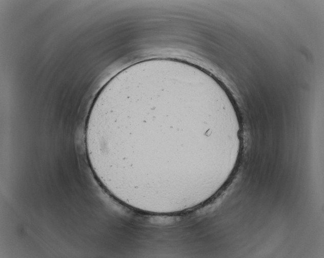 X0000111251521200907301316