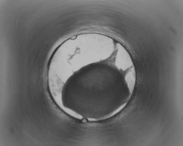 X0000111251522200907301316