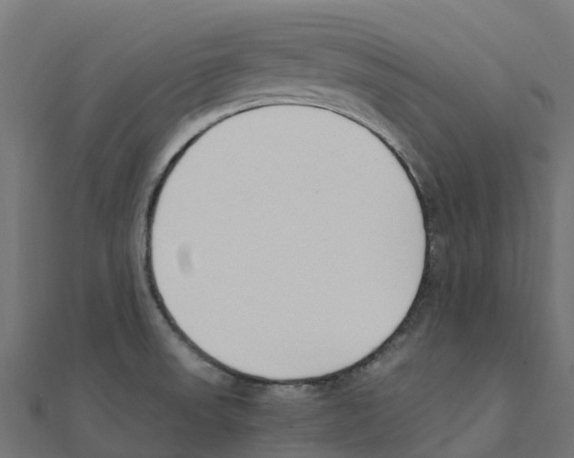 X0000111251523200907301316