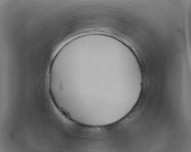 X0000111251524200907301316