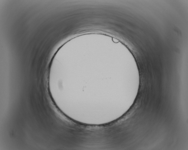 X0000111251526200907301316