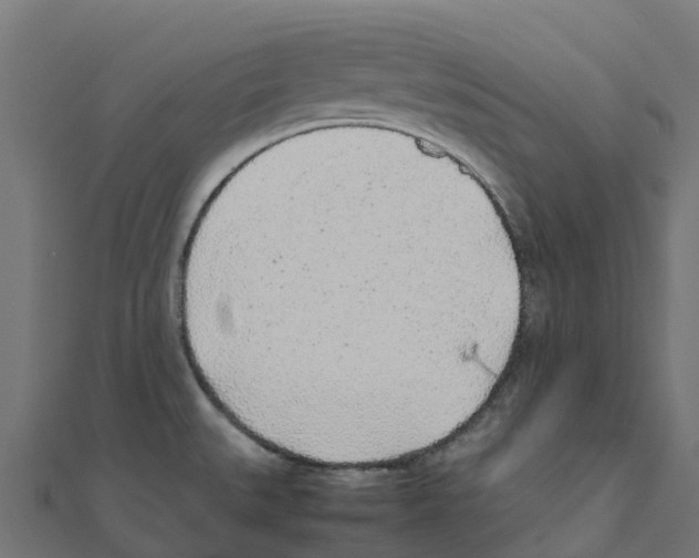 X0000111251527200907301316