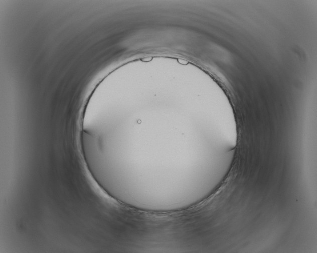 X0000111251528200907301316