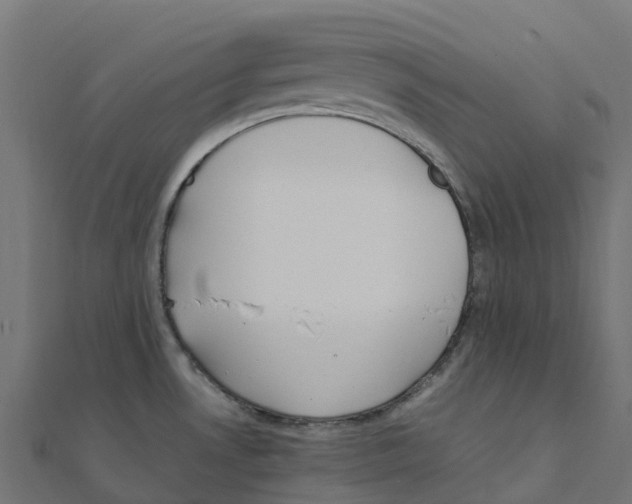 X0000111251530200907301316