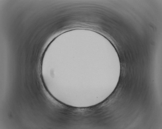 X0000111251531200907301316