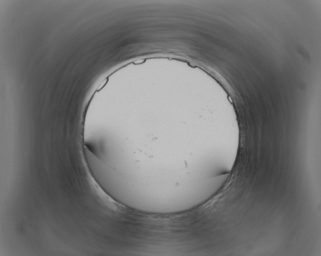 X0000111251532200907301316