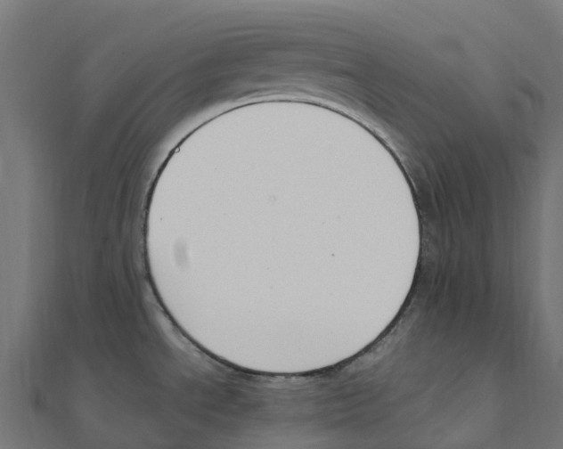 X0000111251534200907301316