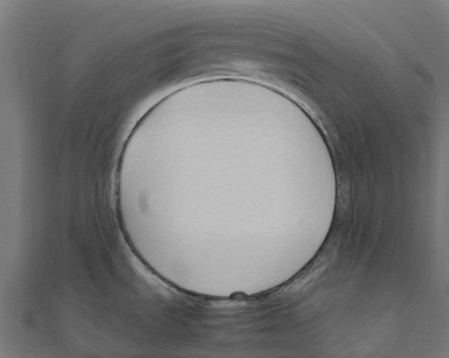 X0000111251535200907301316