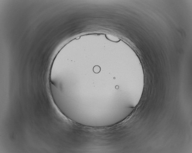 X0000111251536200907301317