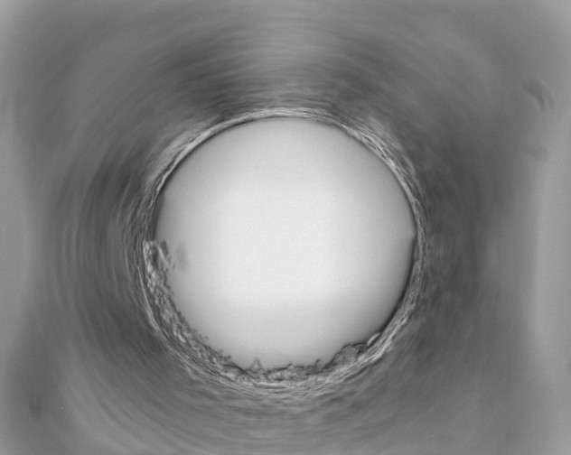 X0000111250001200908131217