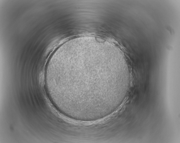 X0000111250002200908131217