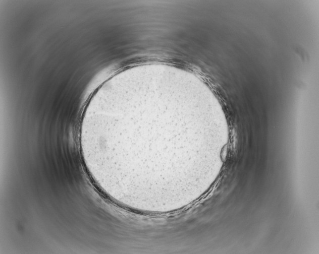 X0000111250004200908131217