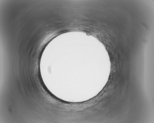 X0000111250005200908131217