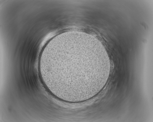 X0000111250006200908131217