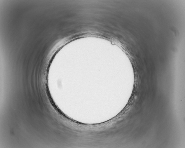 X0000111250007200908131217