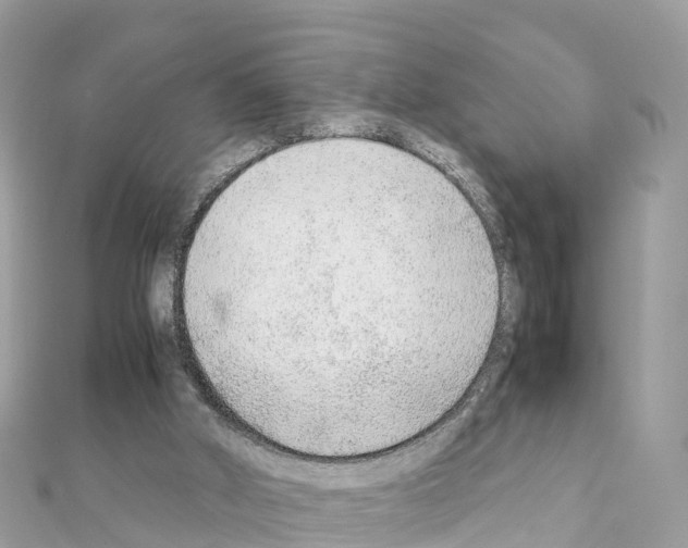 X0000111250010200908131217