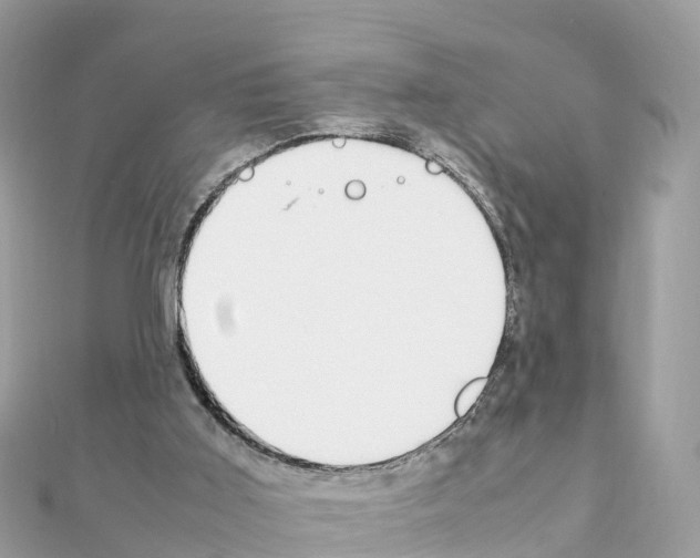 X0000111250011200908131217