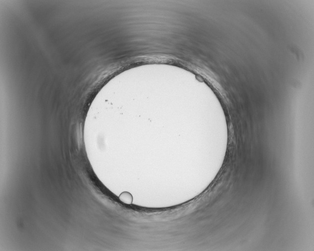 X0000111250013200908131217