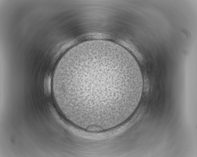 X0000111250014200908131217