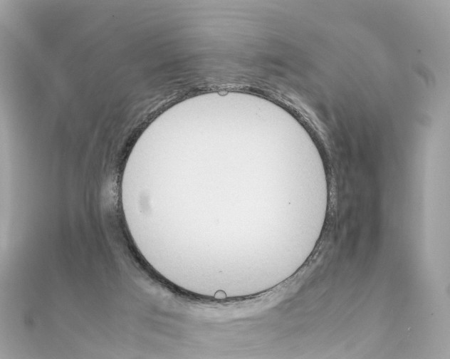 X0000111250017200908131217