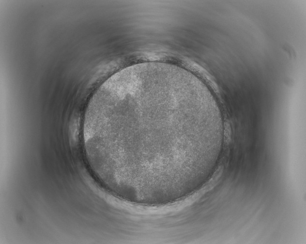 X0000111250018200908131217