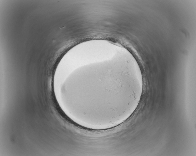 X0000111250019200908131217