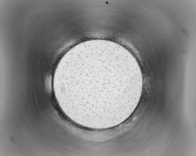 X0000111250020200908131217