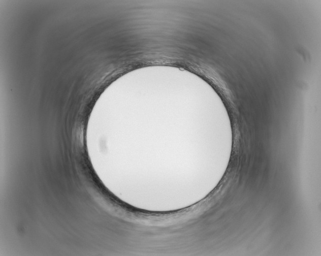 X0000111250021200908131216