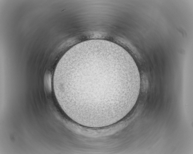 X0000111250022200908131216