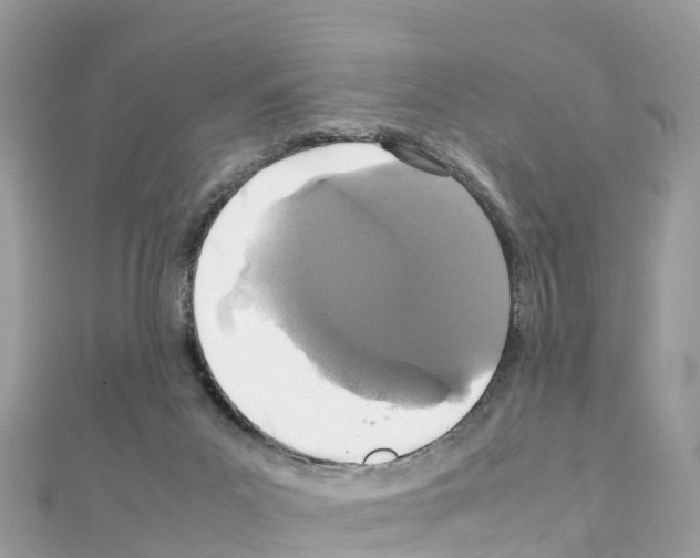 X0000111250023200908131216