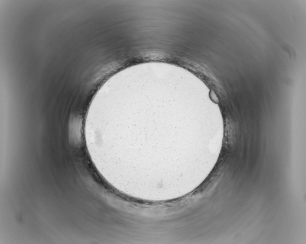 X0000111250024200908131216