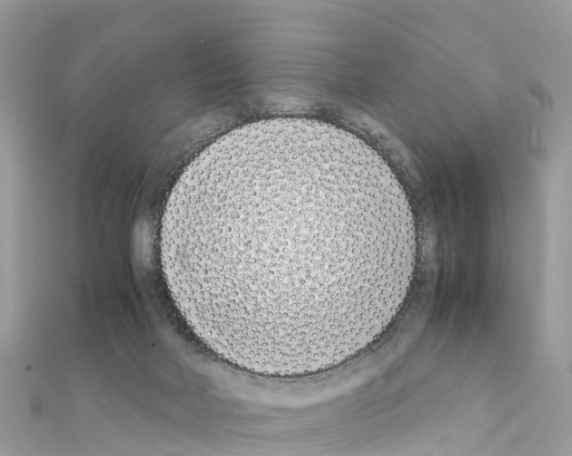 X0000111250026200908131216