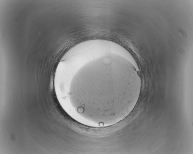 X0000111250027200908131216