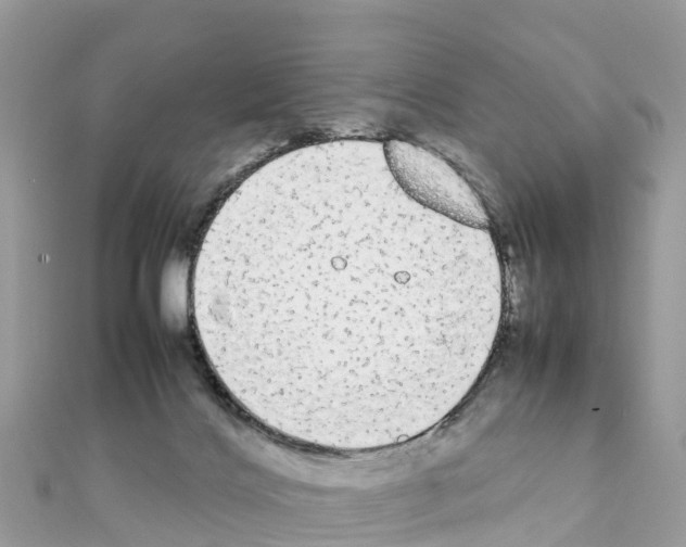 X0000111250028200908131216