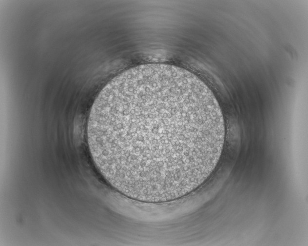 X0000111250030200908131216