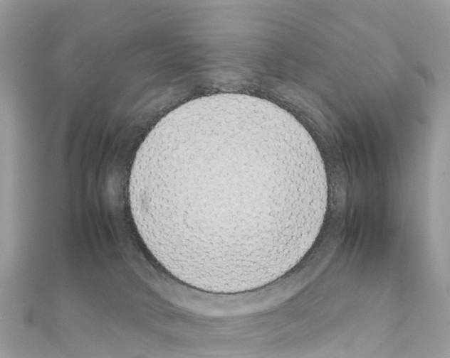 X0000111250034200908131216