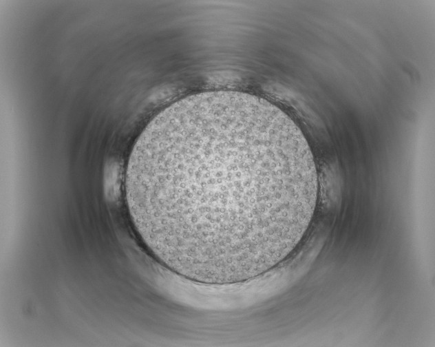 X0000111250038200908131216