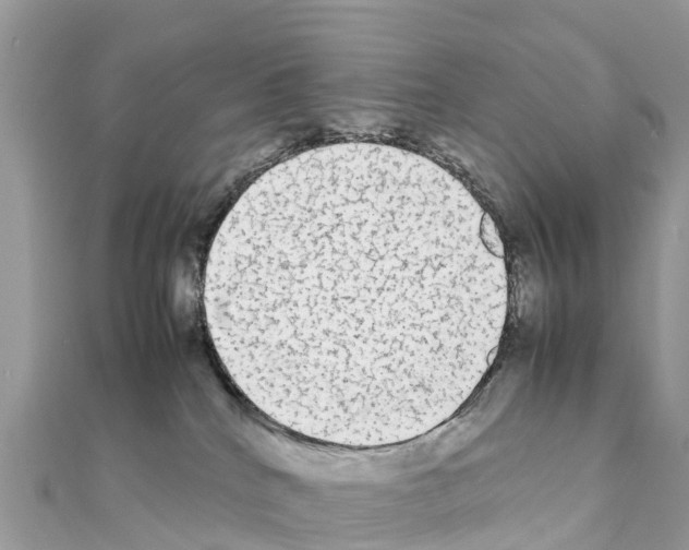 X0000111250040200908131216