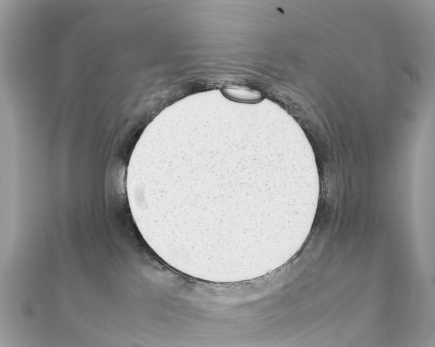 X0000111250041200908131216