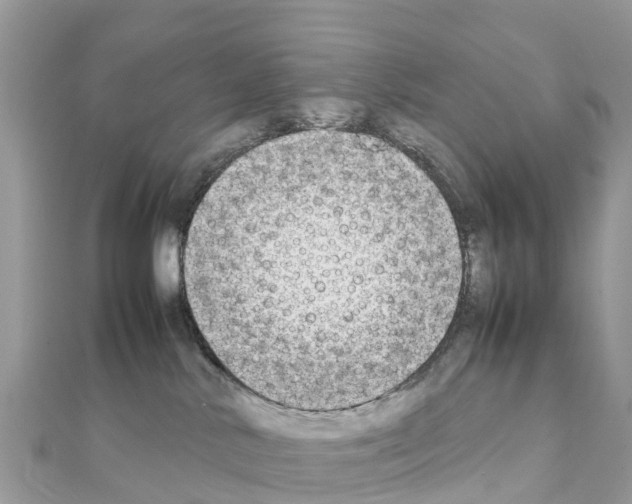 X0000111250042200908131216