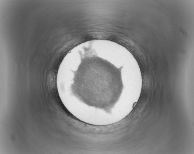 X0000111250043200908131216